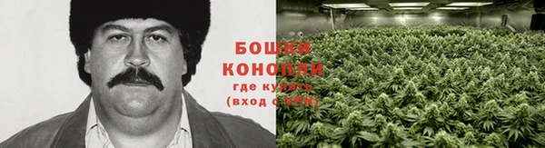 бошки Вязьма