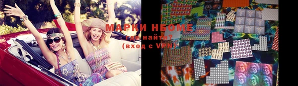 PSILOCYBIN Вяземский