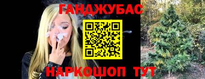 спайс Аргун