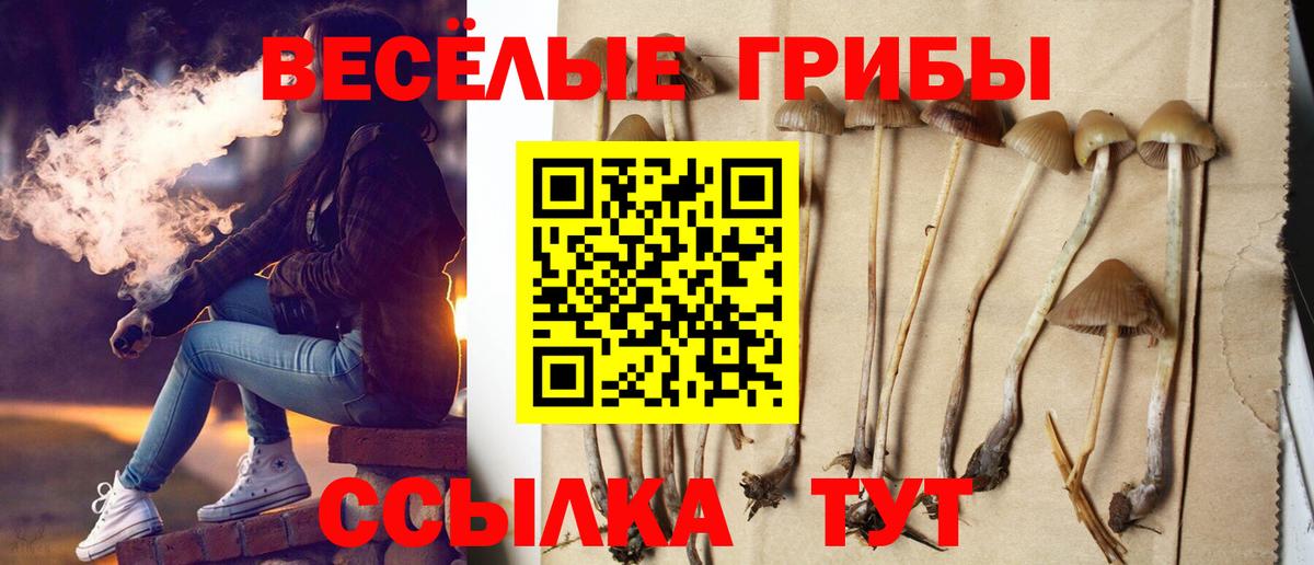 Галлюциногенные грибы MAGIC MUSHROOMS  Галлюциногенные грибы Psilocybe  Беслан 